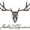 Andrezechmann.com logo