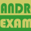 Androidexample.com logo