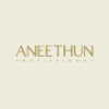 Aneethun.com logo