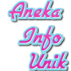 Anekainfounik.net logo