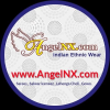 Angelnx.com logo
