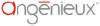 Angenieux.com logo