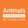 Animalsinternational.org logo