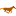 Animatedsoftware.com logo
