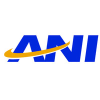 Aninetworks.com logo