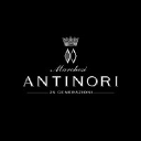 Antinori.it logo