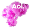 Aol.com.br logo