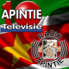Apintie.sr logo