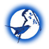 Apjjf.org logo