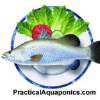 Aquaponics.net.au logo