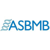 Asbmb.org logo