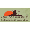 Ashridgetrees.co.uk logo