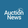 Auctionnews.com logo