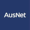 Ausnetservices.com.au logo
