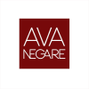 Avanegare.com logo