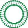 Avantilipids.com logo