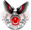 Ayyildiz.org logo