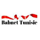 Babnet.net logo