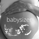Babysizer.com logo