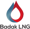 Badaklng.co.id logo