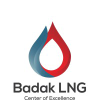 Badaklng.com logo