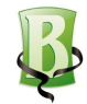 Badanaclinic.com logo