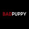 Badpuppy.com logo