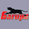 Bagiracomp.ru logo