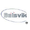 Baisvik.com logo