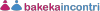 Bakecaincontrii.com logo