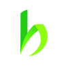 Bambooimport.com logo