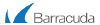 Barracudanetworks.com logo