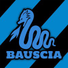 Bauscia.it logo