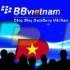 Bbvietnam.com logo