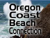 Beachconnection.net logo
