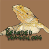 Beardeddragon.org logo