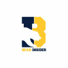 Bearinsider.com logo