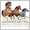Beastextreme.org logo
