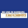 Beiunsinhamburg.de logo