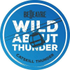 Belleayre.com logo