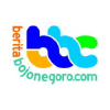 Beritabojonegoro.com logo