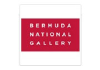 Bermudayp.com logo