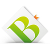 Bernecker.info logo