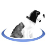 Bernieportal.com logo