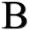Bertinigroup.it logo