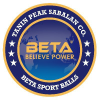 Betasport.ir logo