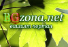 Bgzona.net logo