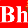 Bharatlogistic.in logo