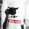 Bianoti.com logo