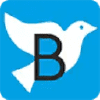 Bibliatodo.com logo